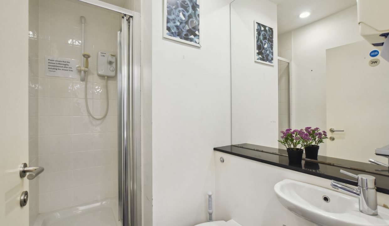 Stag Court - Shower -Original (1)