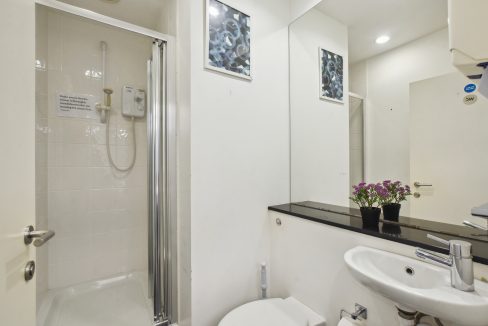 Stag Court - Shower -Original (1)