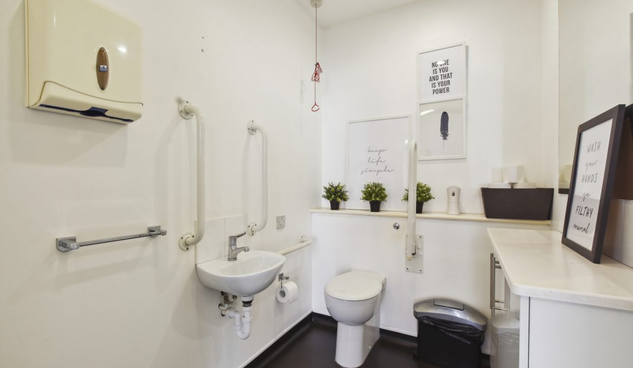 Stag Court - WC -Original (1)